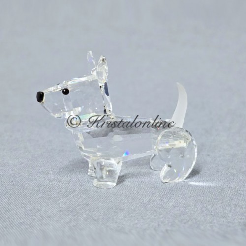 Scotch terrier